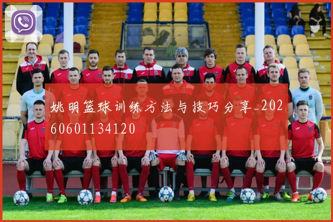 姚明篮球训练方法与技巧分享_20260601134120